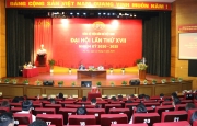 Phát triển VPI thành hạt nhân đổi mới sáng tạo