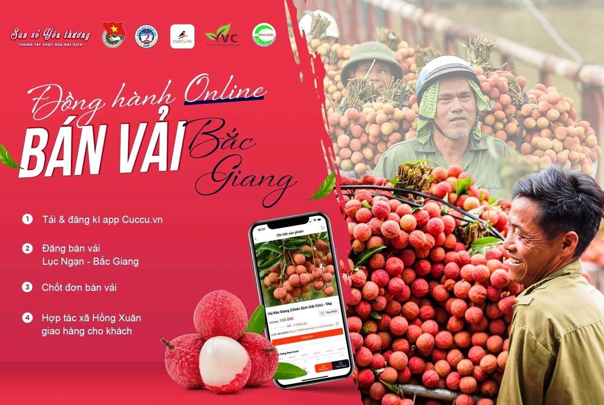 Chiến dịch tình nguyện 