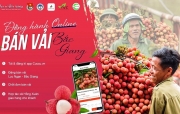 Chiến dịch tình nguyện 