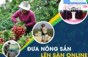 Thúc đẩy đưa hộ sản xuất nông nghiệp lên sàn thương mại điện tử