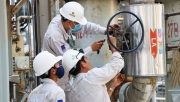 Nhà bản quyền Toyo chứng nhận thành tích sáng tạo của Phân Bón Cà Mau