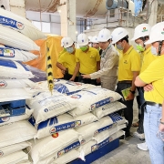 Lợi thế từ thị trường, Phân Bón Cà Mau vượt chỉ tiêu kế hoạch quý I/2022