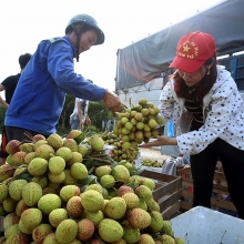 Bộ Công Thương: Xuất khẩu qua Trung Quốc phải có địa chỉ tiêu thụ rõ ràng