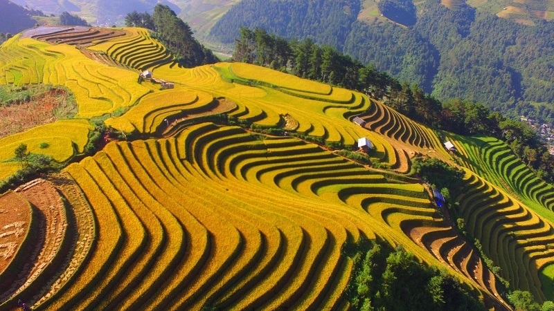 Mù Cang Chải - Vẻ đẹp thuần khiết của thiên nhiên