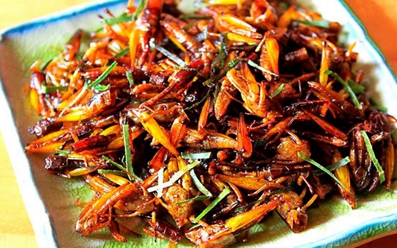 Mù Cang Chải - Vẻ đẹp thuần khiết của thiên nhiên