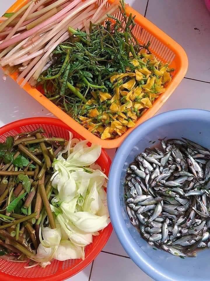 Vĩnh Long mùa nước nổi Vĩnh Long mùa nước nổi