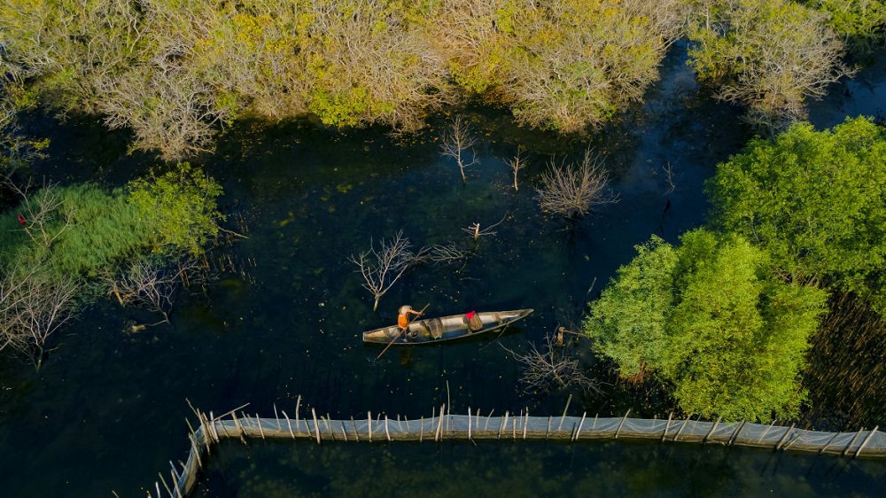 Mùa Rú Chá – Thừa Thiên Huế