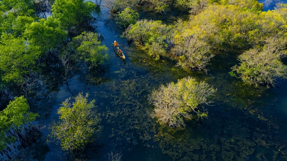 Mùa Rú Chá – Thừa Thiên Huế