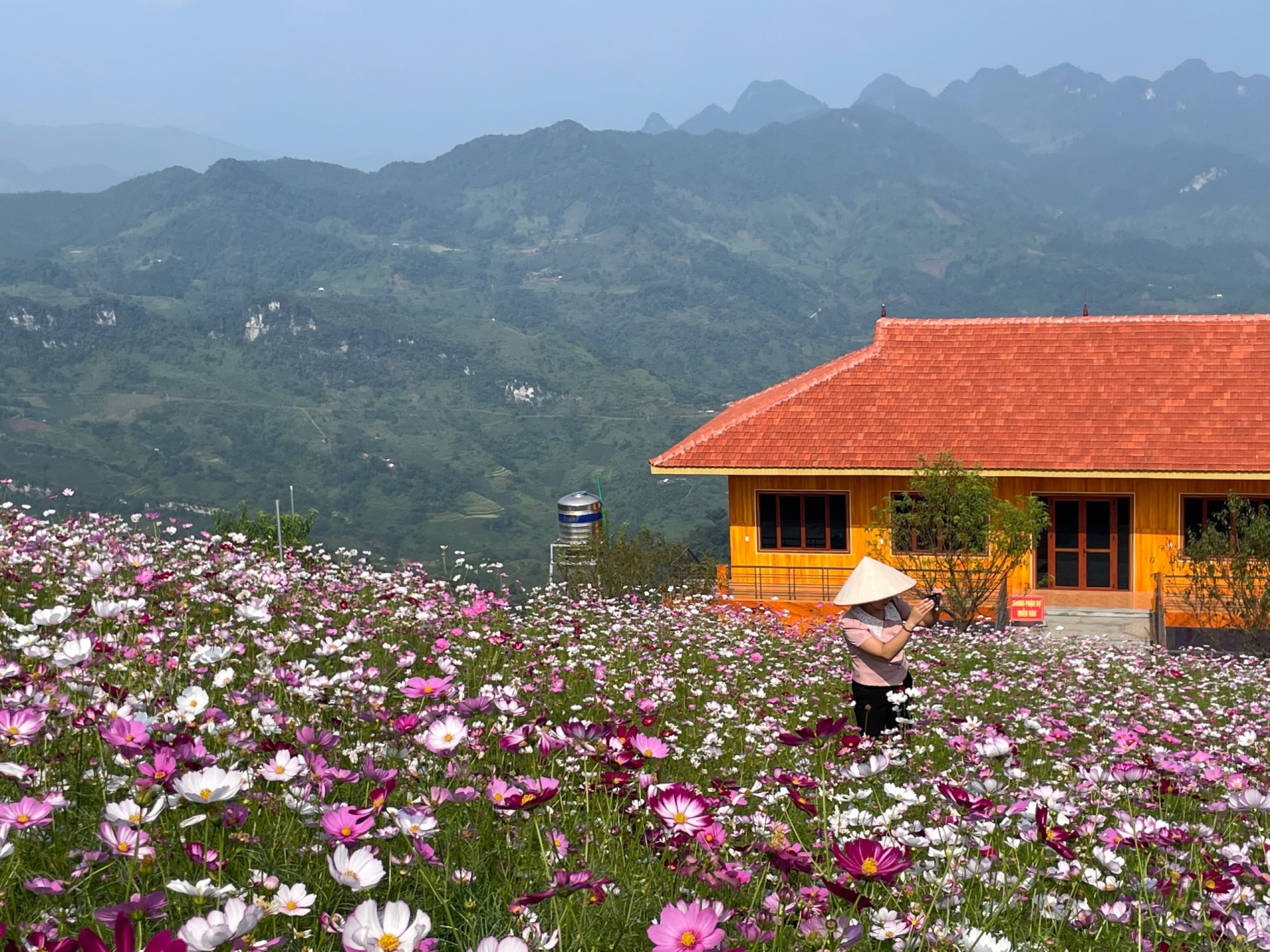 Bắc Kạn: Vẻ đẹp Mù Là mùa lúa chín