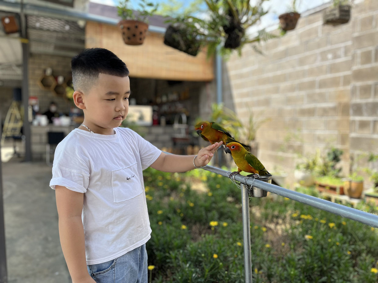 Người Pleiku nuôi "thú cưng" để hút khách du lịch Người Pleiku nuôi "thú cưng" để hút khách du lịch
