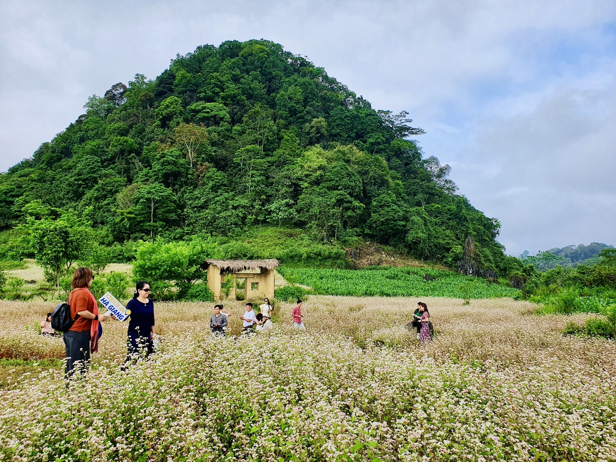 Đi phượt ở Hà Giang mùa này có gì hay? Đi phượt ở Hà Giang mùa này có gì hay?