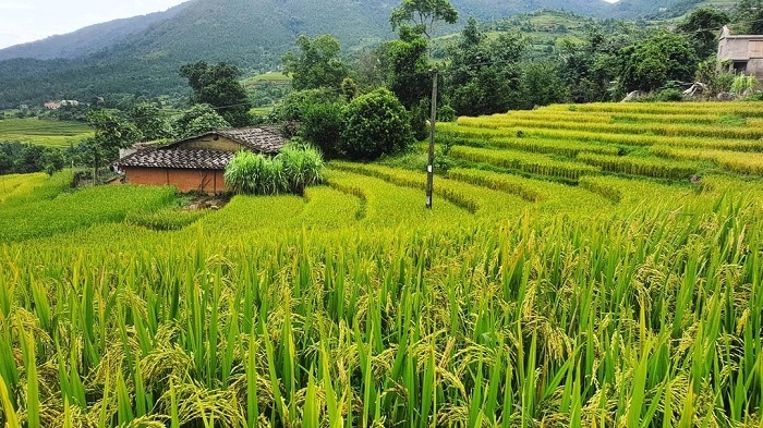 Bình Liêu (Quảng Ninh) - Những trải nghiệm cần chinh phục Bình Liêu (Quảng Ninh) - Những trải nghiệm cần chinh phục