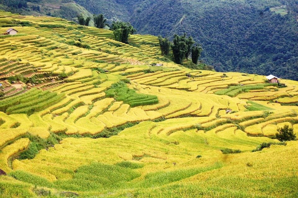 Suôi Thầu - thảo nguyên tươi đẹp ở Hà Giang Suôi Thầu - thảo nguyên tươi đẹp ở Hà Giang