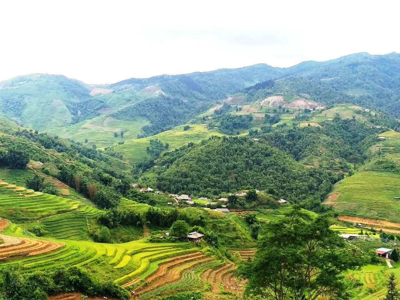 Suôi Thầu - thảo nguyên tươi đẹp ở Hà Giang Suôi Thầu - thảo nguyên tươi đẹp ở Hà Giang