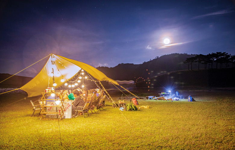 Vẻ đẹp quyến rũ và thơ mộng ở thảo nguyên cỏ hồng Masara, Lạc Dương (Lâm Đồng)