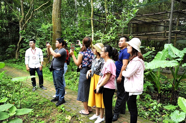 Đến thăm ngôi nhà của các loài linh trưởng tại rừng quốc gia Cúc Phương Đến thăm ngôi nhà của các loài linh trưởng tại rừng quốc gia Cúc Phương
