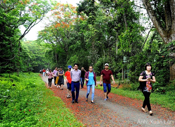 Đến thăm ngôi nhà của các loài linh trưởng tại rừng quốc gia Cúc Phương Đến thăm ngôi nhà của các loài linh trưởng tại rừng quốc gia Cúc Phương
