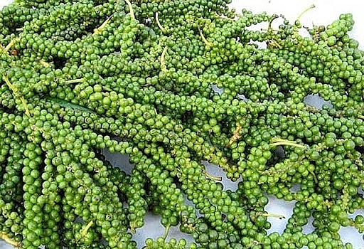 Giá tiêu hôm nay 30/3: Giá tiêu thế giới không đổi so với một ngày trước đó