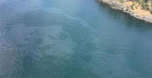 Chìm tàu chở 2.600 gallon dầu gần đảo San Juan Chìm tàu chở 2.600 gallon dầu gần đảo San Juan