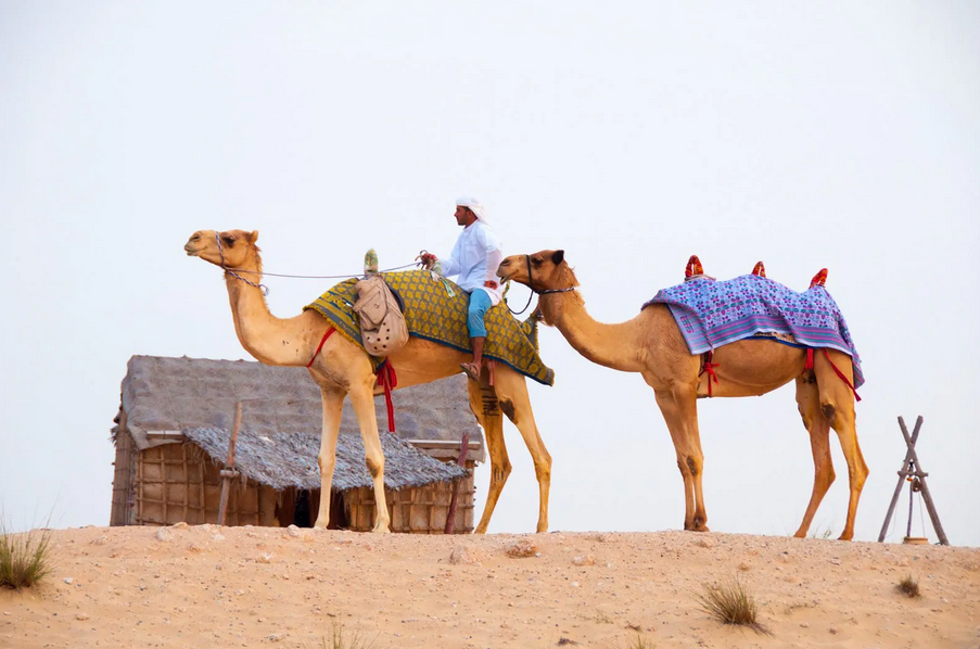 Khám và và trải nghiệm Dubai  Đất nước xa hoa bậc nhất thế giới