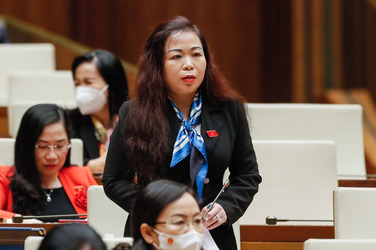 Tư nhân làm truyền tải điện: Quy định sửa chưa rõ, loạt đại biểu thấy lo - 1