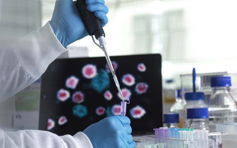 Tìm thấy điểm yếu chí tử của virus SARS-CoV-2 - 1