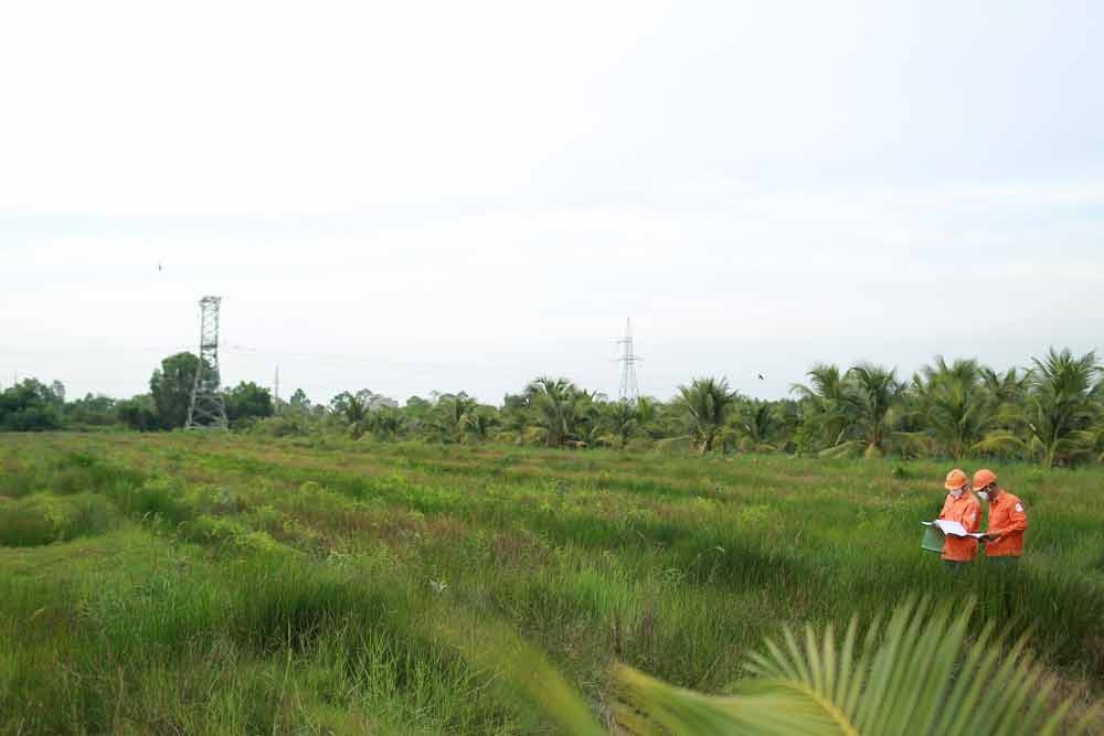 Thi công đường dây 220kV trên biển đầu tiên: Khó chồng khó, nhưng...