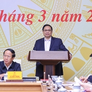Cần tập trung tháo gỡ thể chế, cơ chế chính sách để DNNN phát triển