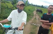 interpol pha mang luoi lam dung tinh duc tre em co nan nhan 15 thang tuoi