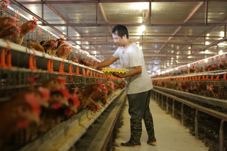 Agribank tiếp sức dòng vốn cho phát triển kinh tế Thủ đô