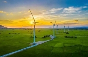 ADB cam khoản vay 116 triệu USD cho 3 dự án điện gió