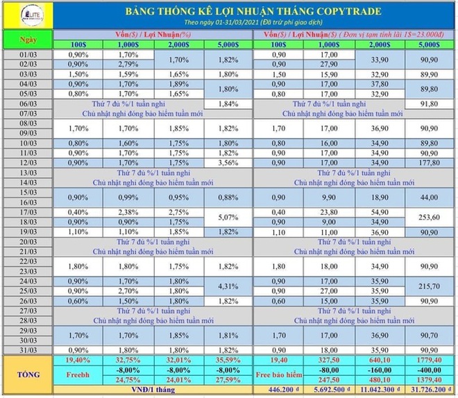 Sập loạt sàn tiền ảo: Chủ trò lật bài ngửa, nhà đầu tư vỡ mộng làm giàu - 3