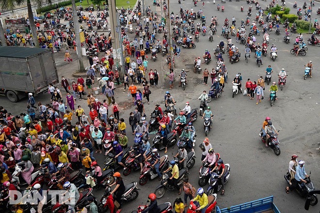 31 doanh nghiệp trong Khu chế xuất Tân Thuận ngừng hoạt động vì Covid-19 - 2