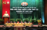 du an nha may dam phu my dua con dau long cua nganh hoa dau viet nam