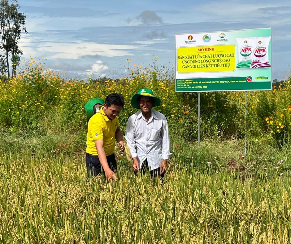 PVCFC lần thứ 2 đạt Top 50 Công ty Niêm yết tốt nhất cùng kết quả kinh doanh 2 quý vượt trội