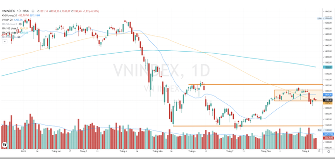 VN-Index chịu tác động chi phối do yếu tố trong nước - 1