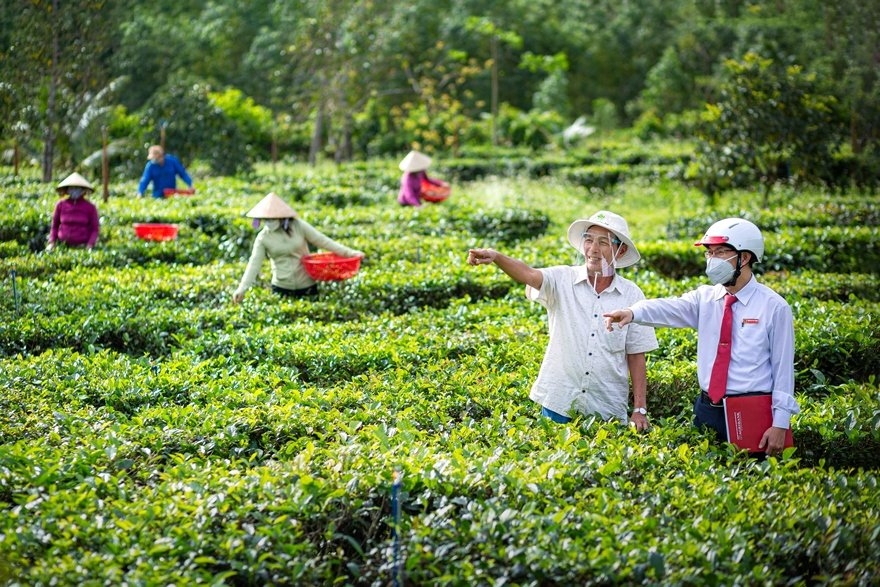 Agribank khẳng định vai trò ngân hàng chủ lực trong xây dựng nông thôn mới