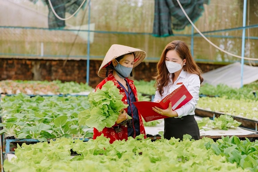 Agribank khẳng định vai trò ngân hàng chủ lực trong xây dựng nông thôn mới
