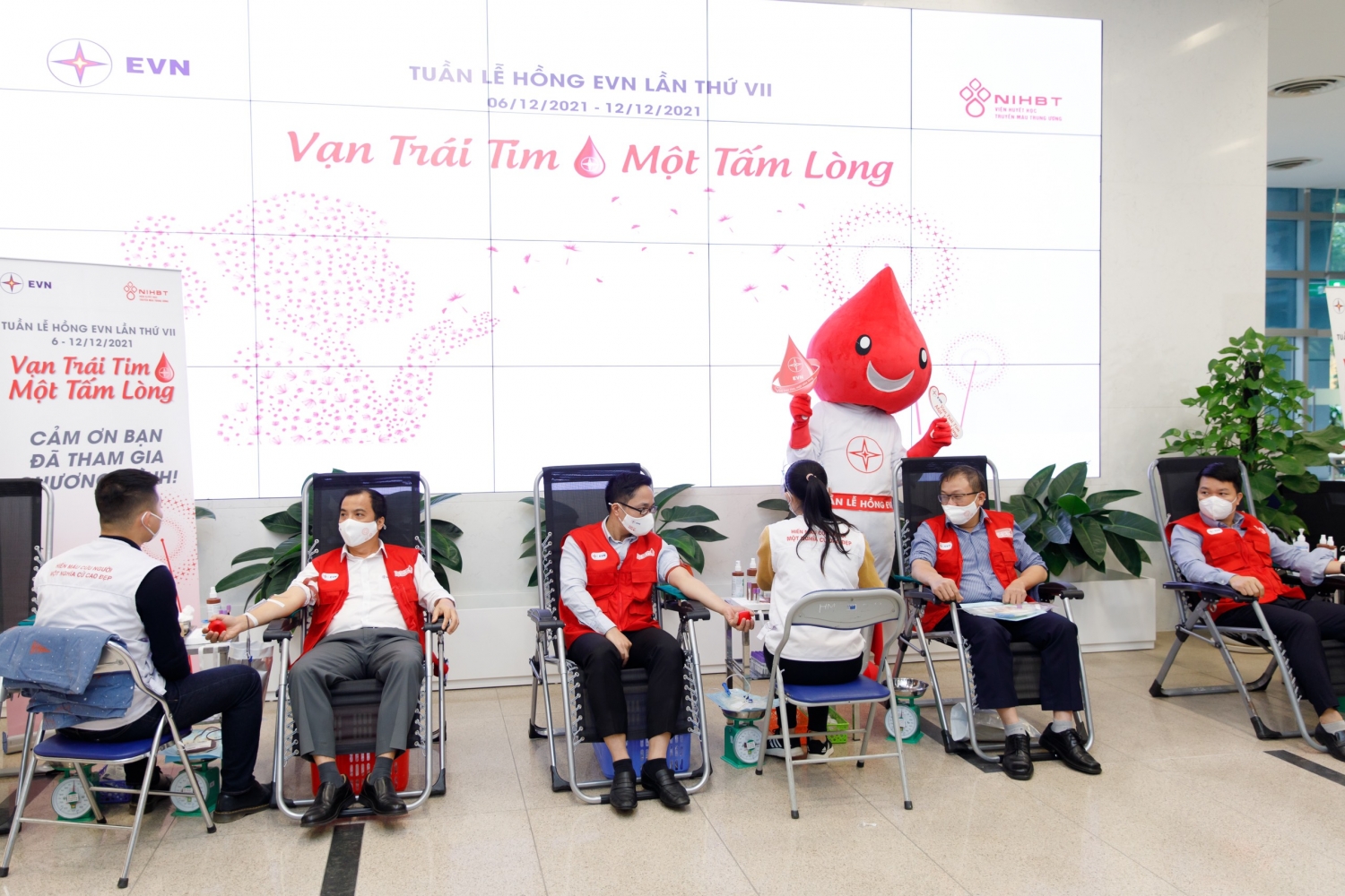 Tuần lễ hồng EVN lần thứ VII: Hơn 9.700 đơn vị máu được góp vào “ngân hàng máu