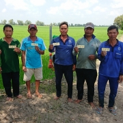 Nhà nông phấn khởi với chương trình “Tôi chọn NPK Cà Mau: Ghép chữ hay – Nhận quà đỉnh”