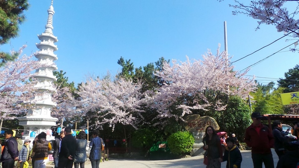 Khám phá ngôi chùa cổ bên bờ biển ở Busan, Hàn Quốc