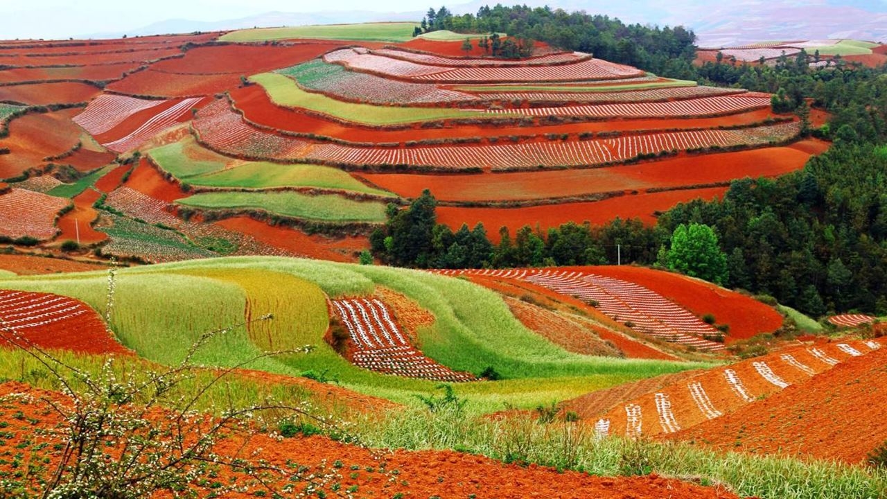 6 thành phố được “Mẹ thiên nhiên” ưu ái thời tiết ấm áp quanh năm