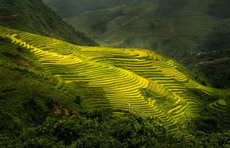 7 điểm đến tuyệt vời ở Việt Nam hấp dẫn du khách nước ngoài 7 điểm đến tuyệt vời ở Việt Nam hấp dẫn du khách nước ngoài