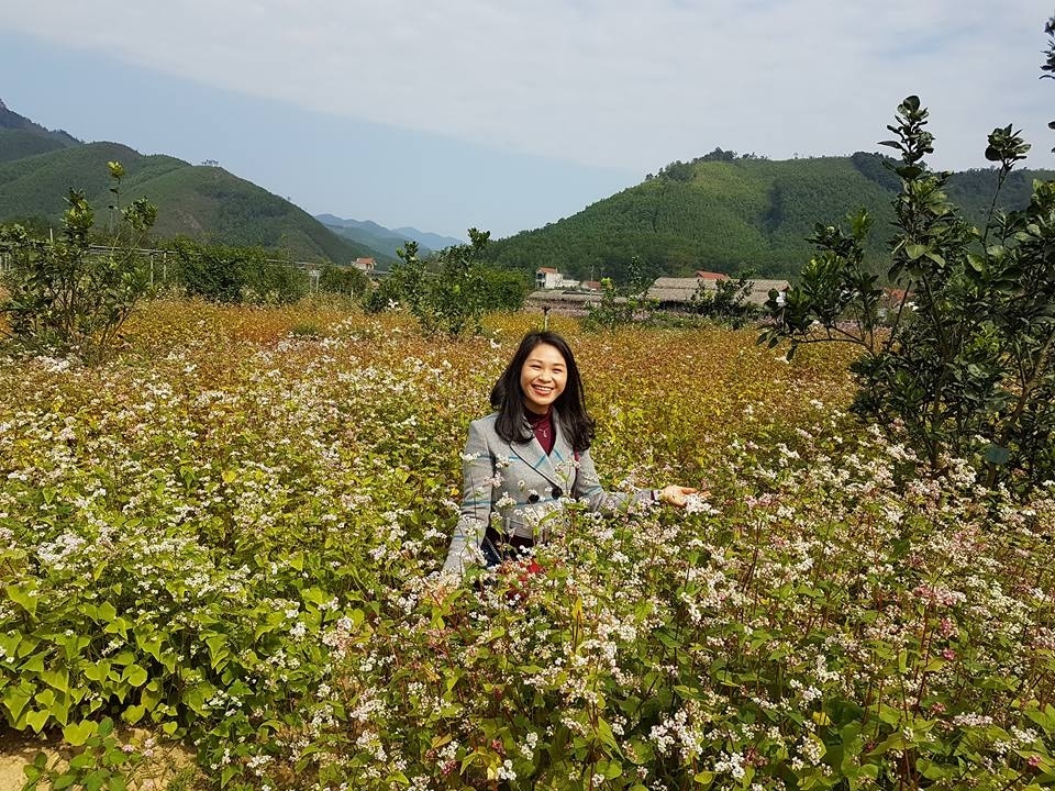 Thiên đường hoa tam giác mạch ở Quảng Ninh Thiên đường hoa tam giác mạch ở Quảng Ninh