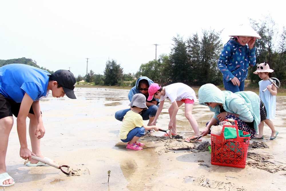 Sức hút từ du lịch biển đảo