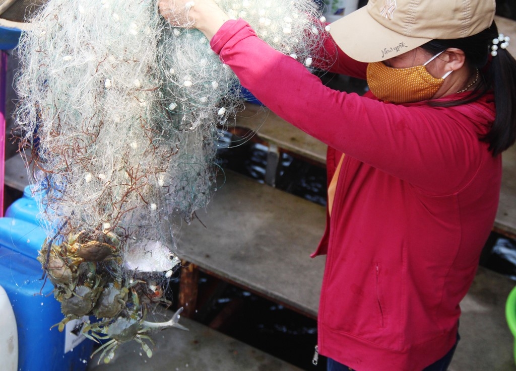 Thừa Thiên Huế: Đầm Chuồn mùa đẹp nhất năm