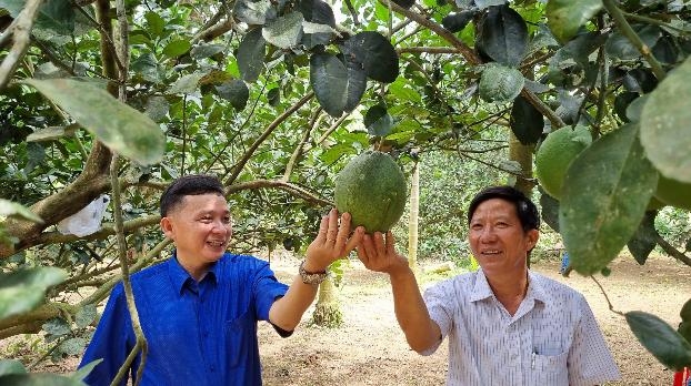 Làn gió mới từ du lịch nông nghiệp nông thôn Làn gió mới từ du lịch nông nghiệp nông thôn
