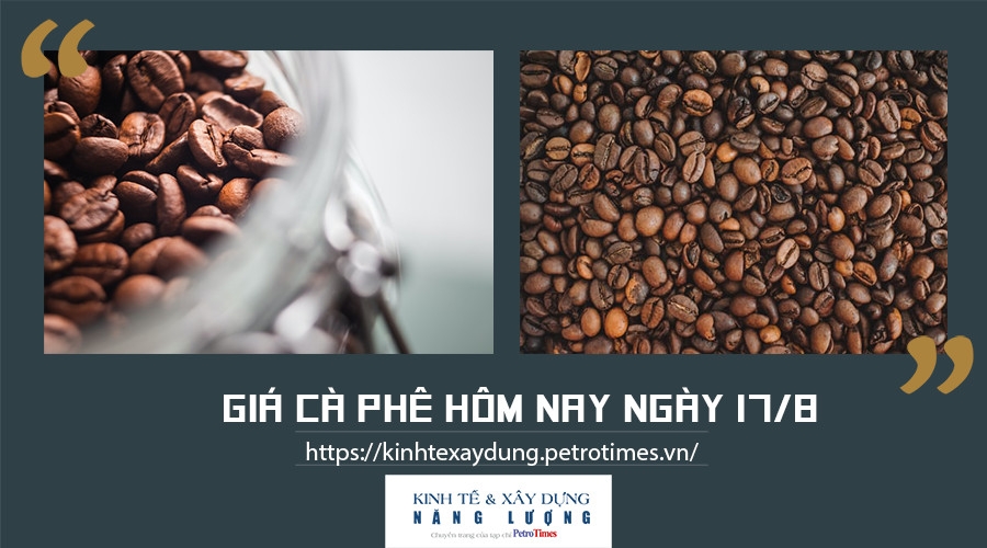 Giá cà phê hôm nay ngày 17/8: Tăng thêm 300 đồng/kg Giá cà phê hôm nay ngày 17/8: Tăng nhẹ 300 đồng/kg