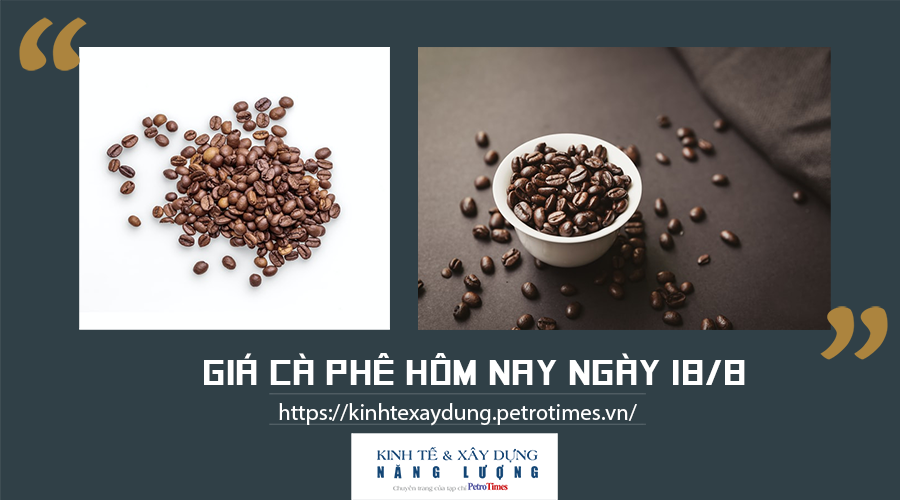 Giá cà phê hôm nay ngày 18/8: Trong khoảng 36.800 - 37.700 đồng/kg Giá cà phê hôm nay ngày 18/8: Giảm nhẹ theo thị trường thế giới