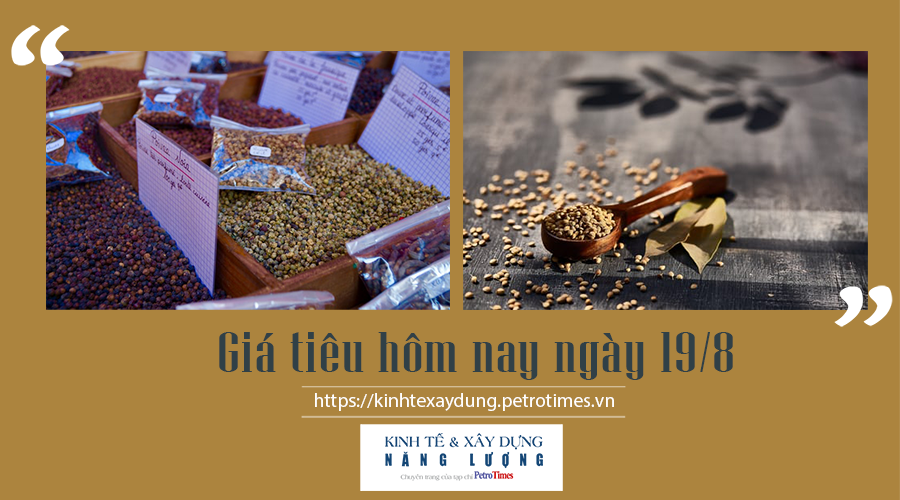 Giá tiêu hôm nay ngày 19/8: Giao dịch ở mức từ 76.000 - 79.500 đồng/kg Giá tiêu hôm nay ngày 19/8: Tăng nhẹ trở lại